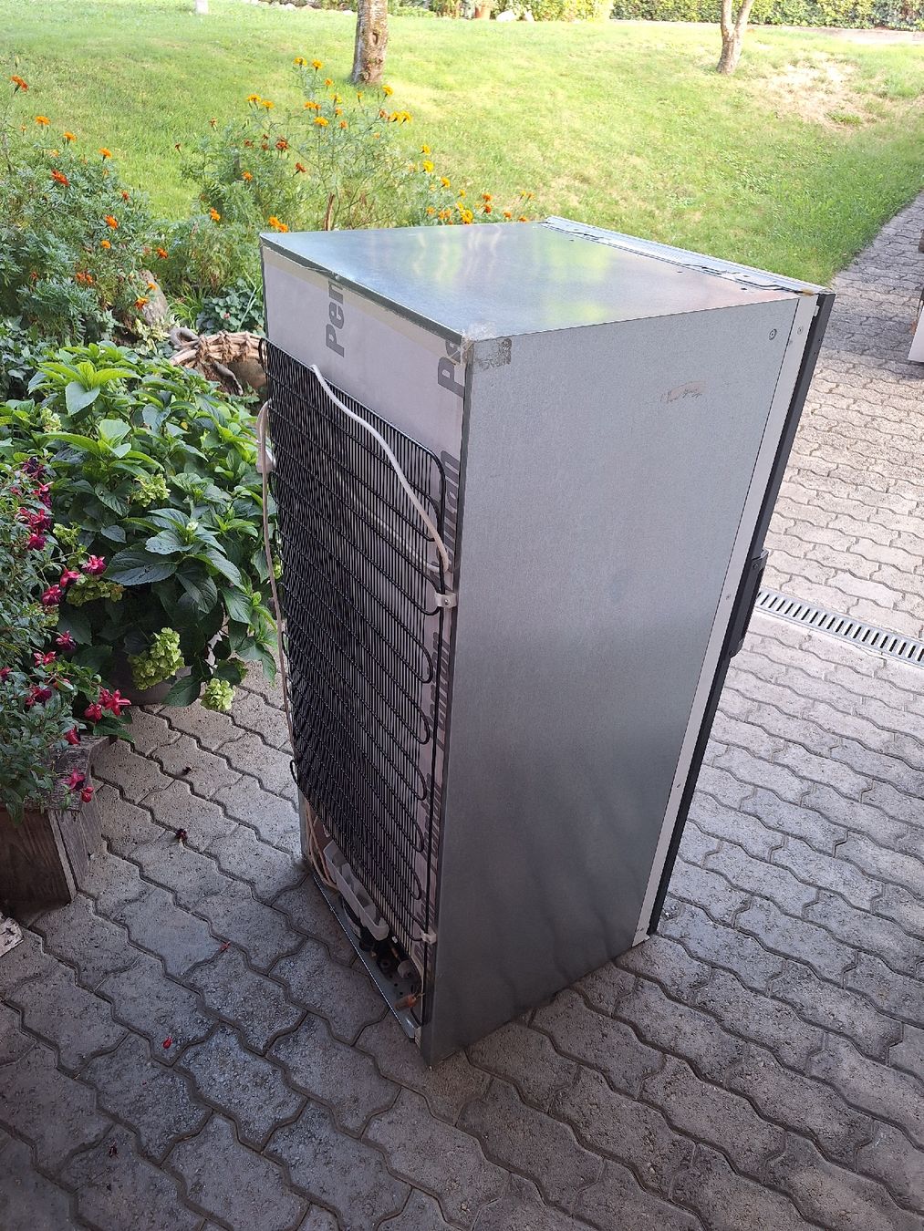 Frigoriferi: Kühlschrank Electrolux – Usato da Uetendorf venduto da Albi125 3