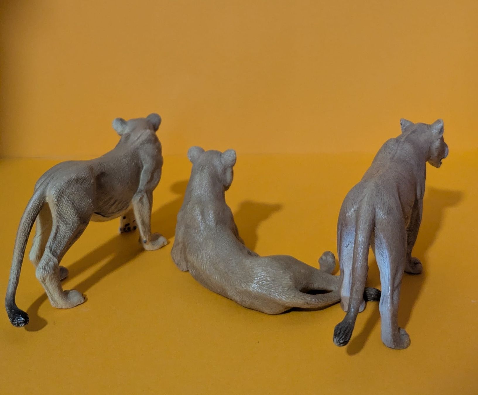 Schleich Spielzeuge: Schleich 4 Löwen – Gebraucht aus Niedergampel von Mariluisa 2