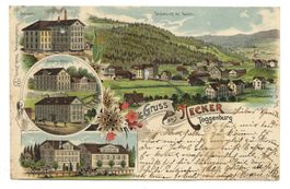 Gruss aus Necker SG Toggenburg - Fabriken - Brunnadern  1901