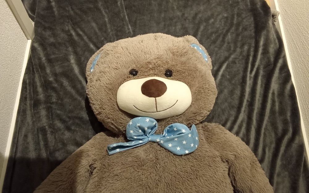 Giocattoli: XXL Teddybär – Usato da Mollis venduto da gar_wqz5 2