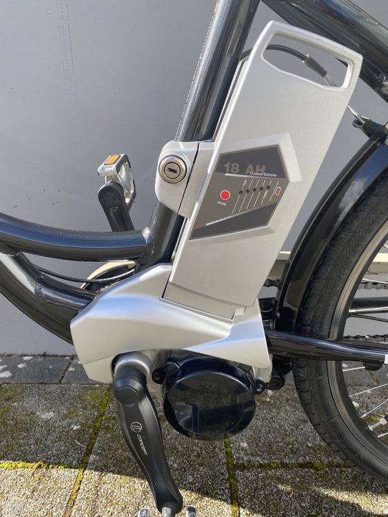 Tolles Raleigh Dover Deluxe E Bike Comprare su Ricardo
