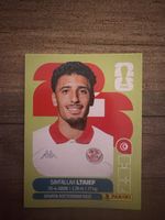 Panini WM 26