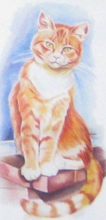 Bastelsets: 3D Schnittbogen Katze (58) – Neu (gemäss Beschreibung) aus Schlatt TG von kreativ-atelier 2