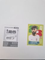 Panini Sticker IRN20