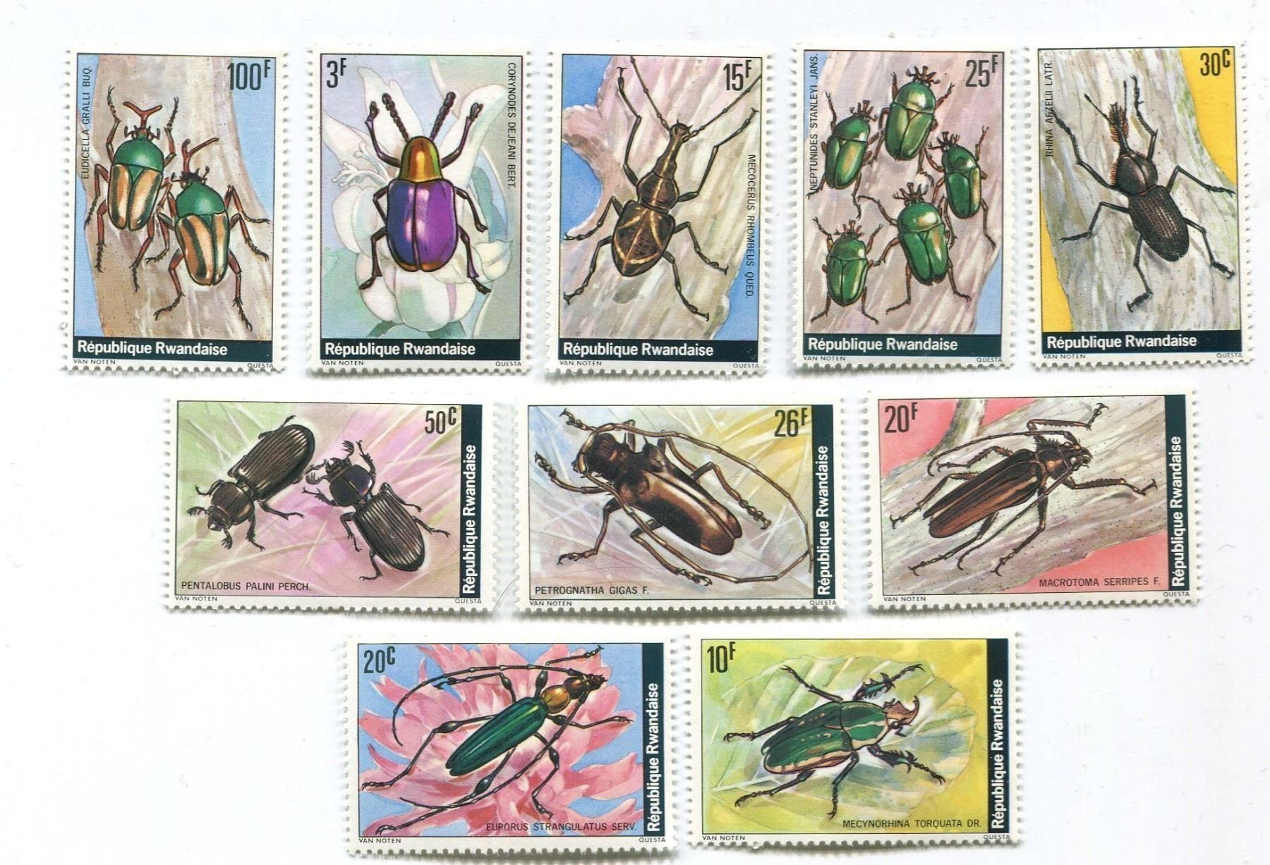 Tous les timbres: Briefmarken "Käfer". Ruanda. – Neuf avec emballage d'origine à Basel par Butsch5