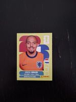panini 2026 ned 18