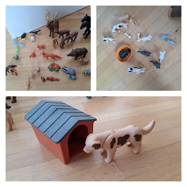 Playmobil Jouets: Diverses Playmobil – D'occasion à Zuchwil par Deci.Belle 6