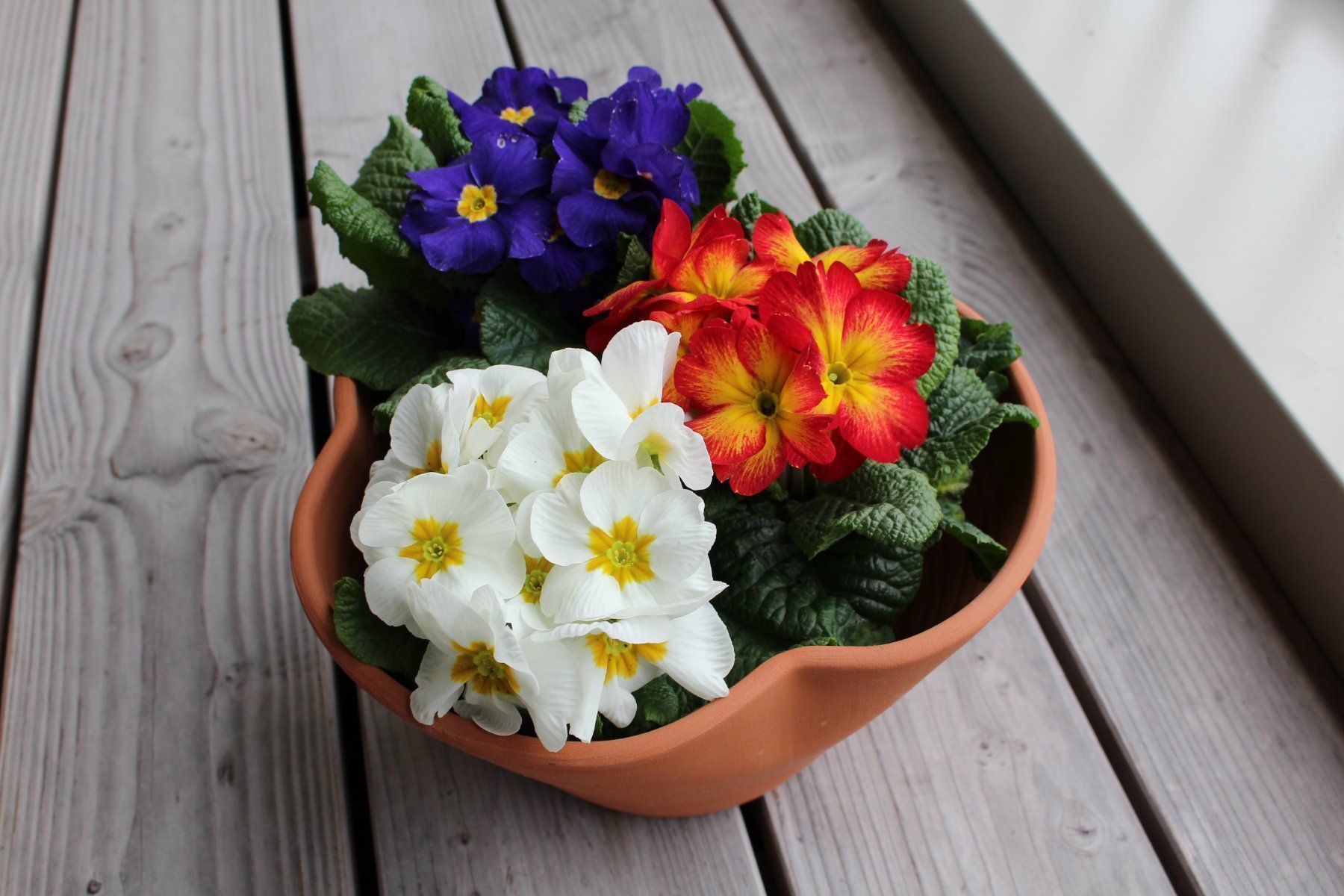 Vasi per fiori: Tontopf/Gartentopf/Pflanzentopf aus Ton – Nuovo e nell'imballaggio originale da Zürich venduto da StellaKar 2