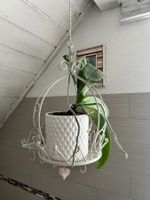 Support de plantes