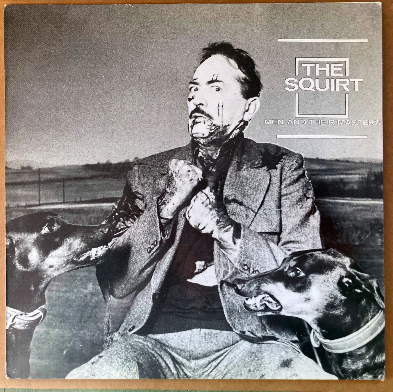 Dischi in vinile: LP The Squirt – Usato da saillon venduto da Cedre