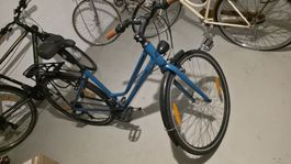 California Velo für Damen