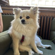 Profile image of svot0894