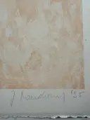 Arts picturaux & lithographies: Jörg Mandernach (1963) Lithographie Handsigniert e.a. – D'occasion à Hinwil par Grossformat 1