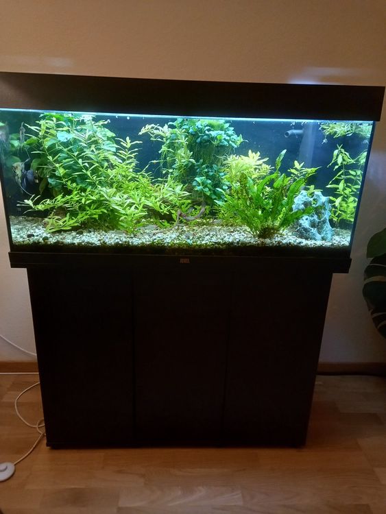 Aquarium Juwel 180 Liter | Kaufen auf Ricardo