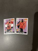 Panini Extra Stickers
