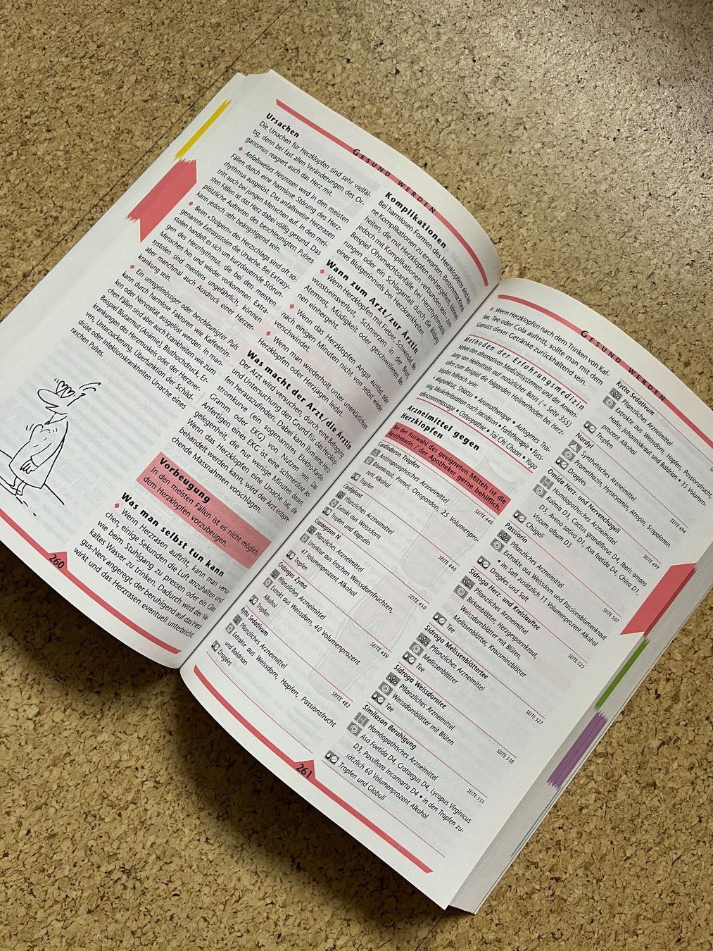 Libri: Dickes Buch Softcover "Meine Gesundheit", Documed – Usato da Grosswangen venduto da Vita500 2