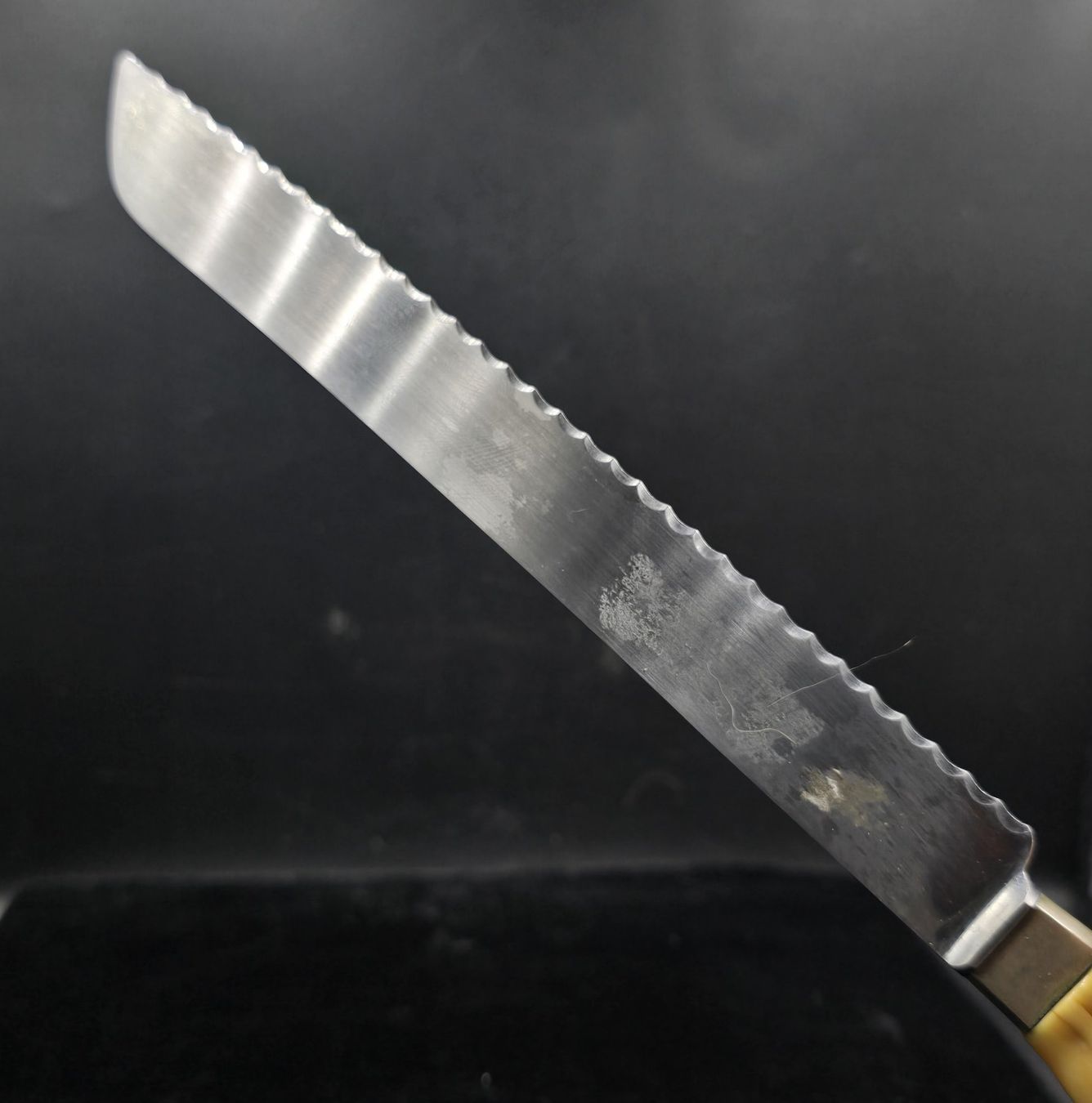 Coltelli da cucina: Brotmesser mit Maiskolben Griff – Usato da Rorschacherberg venduto da snOOpydOg11 1