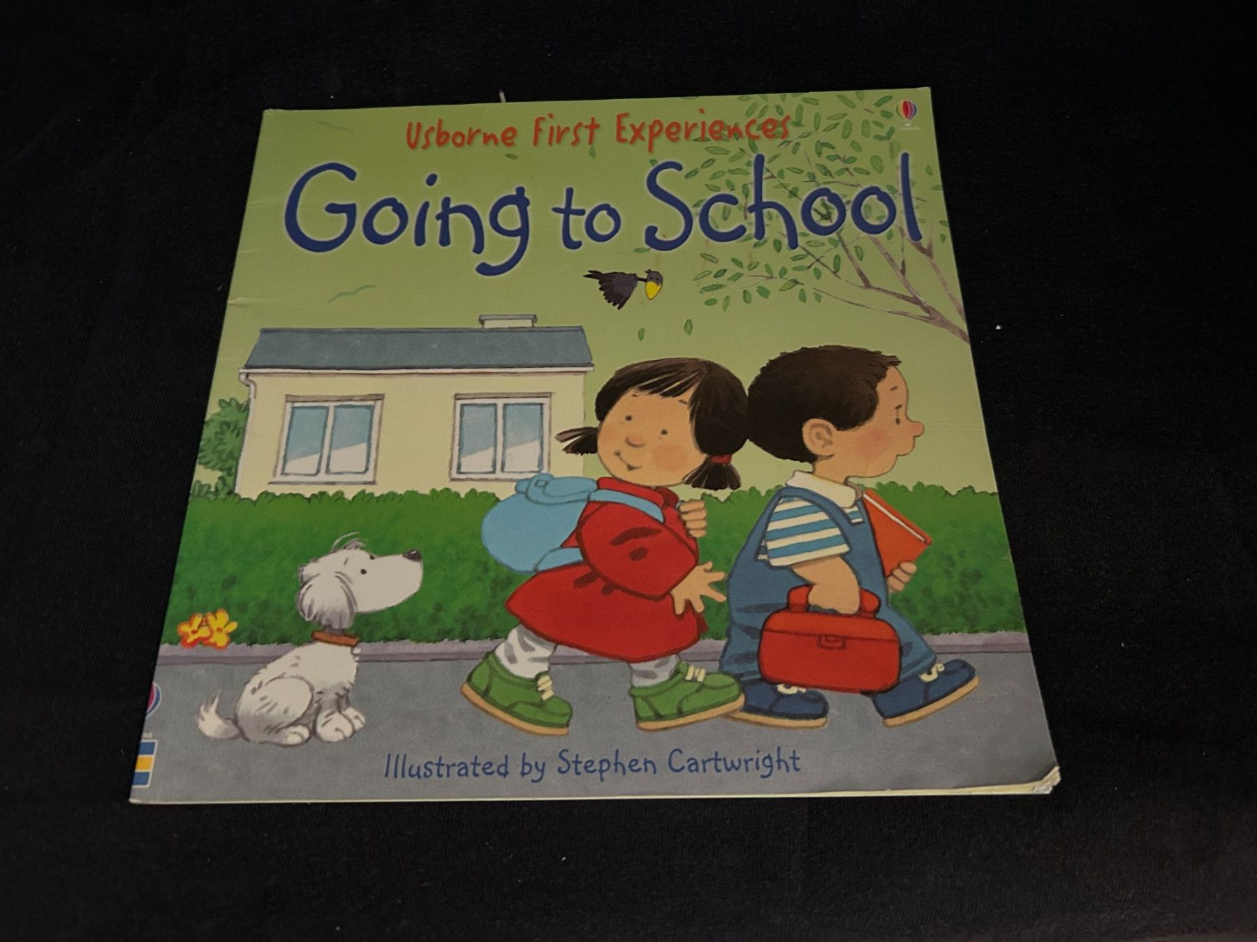 Libri: Buch English "Going to School" - Neuwertig – Usato da Küsnacht ZH venduto da filo_fila8700