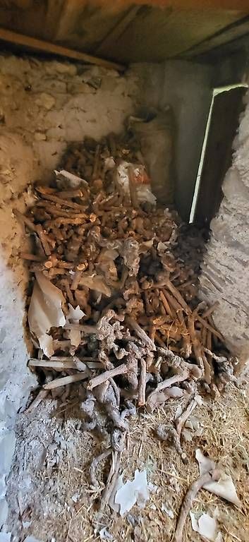 Cheminée: Ceps de vignes pour bois de cheminée  – D'occasion à Sion par sme_gdr7 1