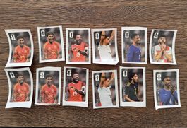 12 Coca Cola Panini FIFA WM 2026 Sticker