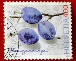  Nr.1213  Hauszwetschge GESTEMPELT    Siehe Original Fotos
