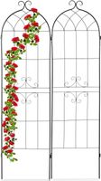 Rankgitter 2er Set 180x50x1,5cm