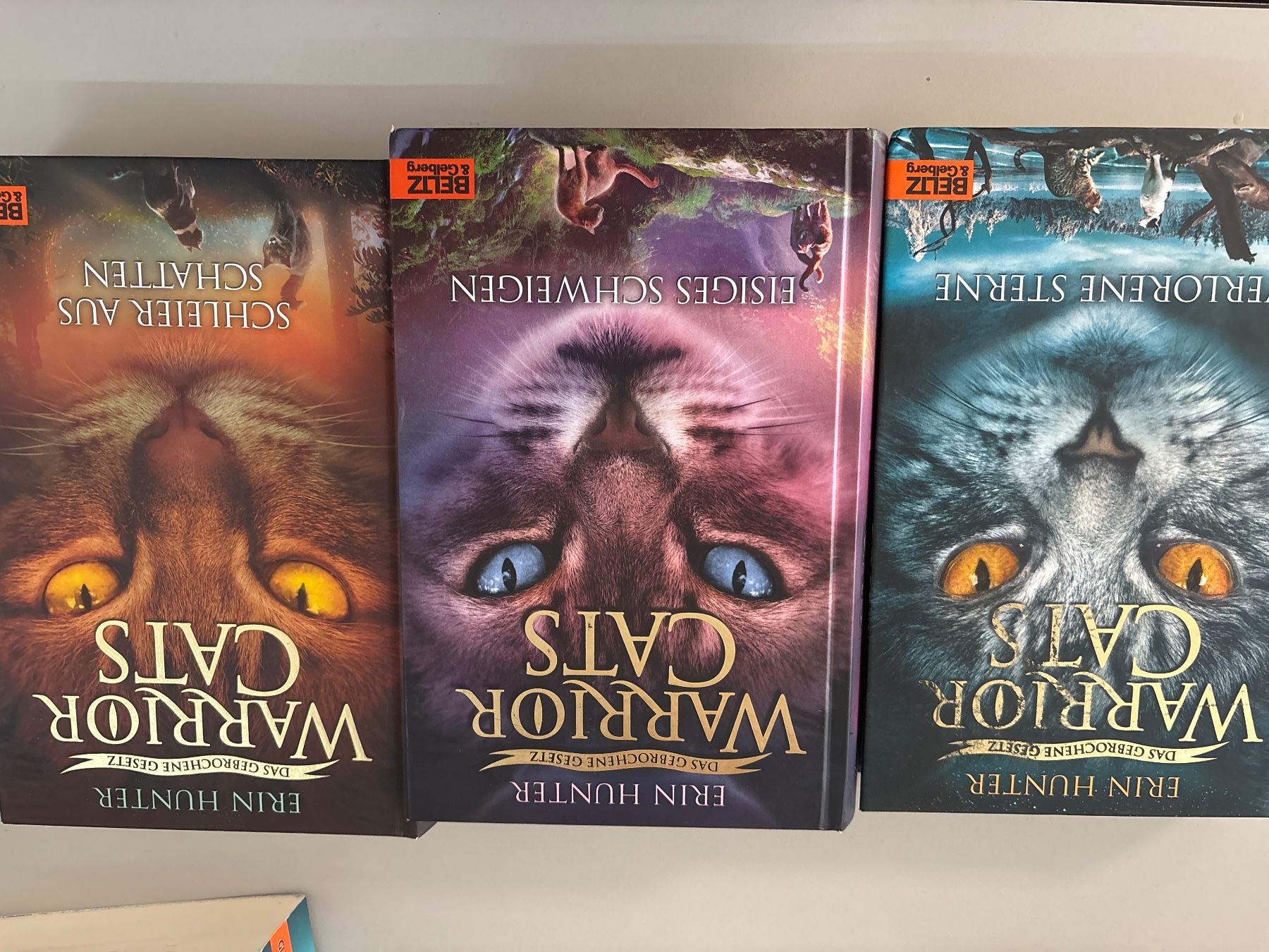 Libri: Warrior Cats Staffel 7 Band 1-3 – Usato da Hunzenschwil venduto da ede_h8tt 1