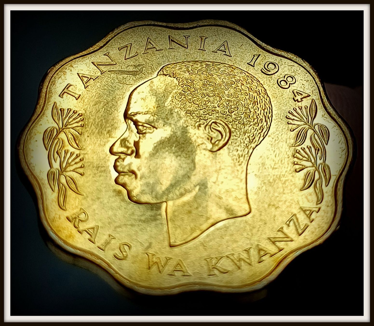Tutti le monete: TANSANIEN 10 SENTI 1984 UNZ. – Nuovo (secondo la descrizione) da winterthur venduto da CoinPassion 1