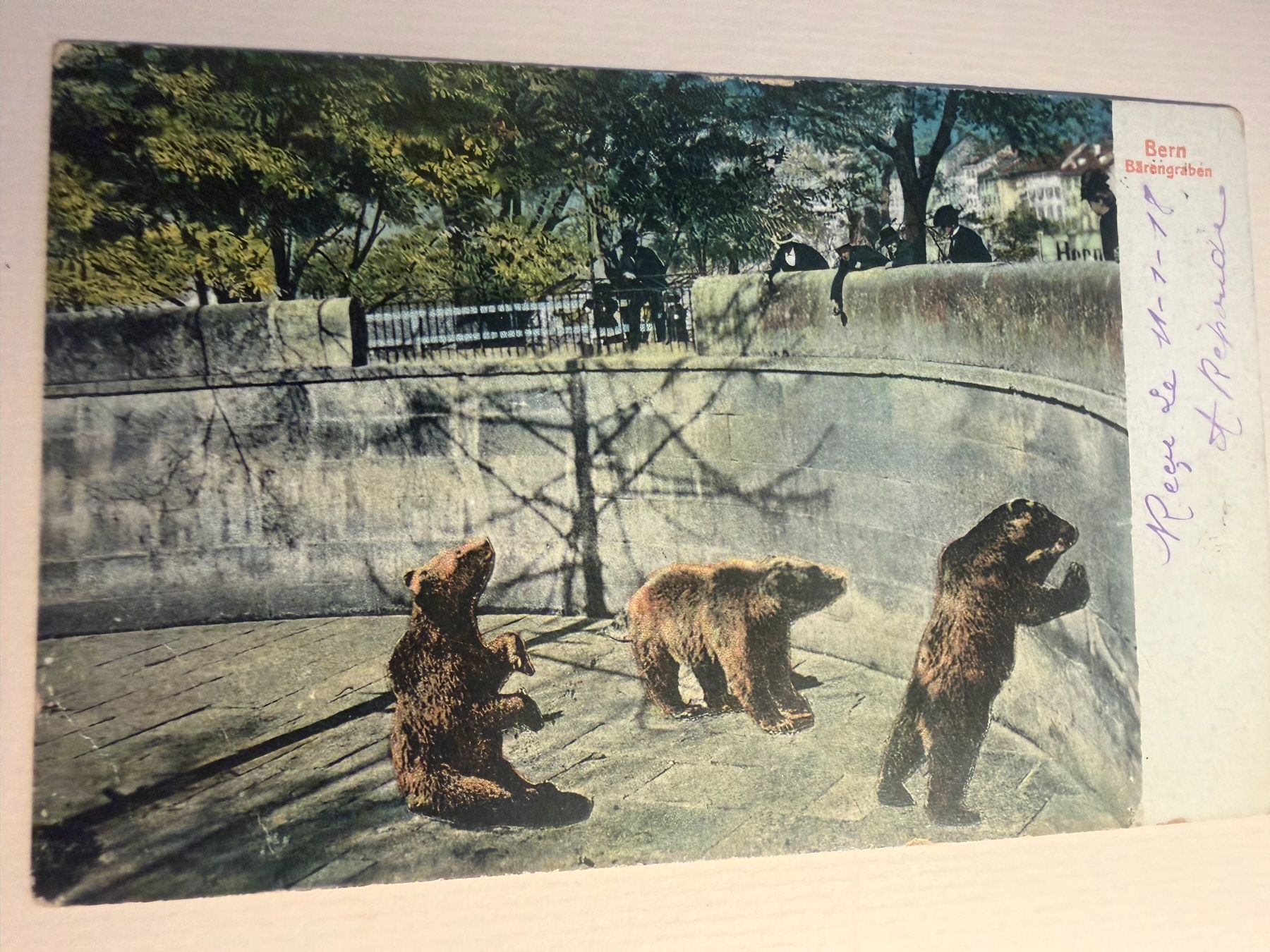 Cartoline postali: BERN - Bärengraben - Ansichtskarte – Usato da Tegerfelden venduto da siebenmacky