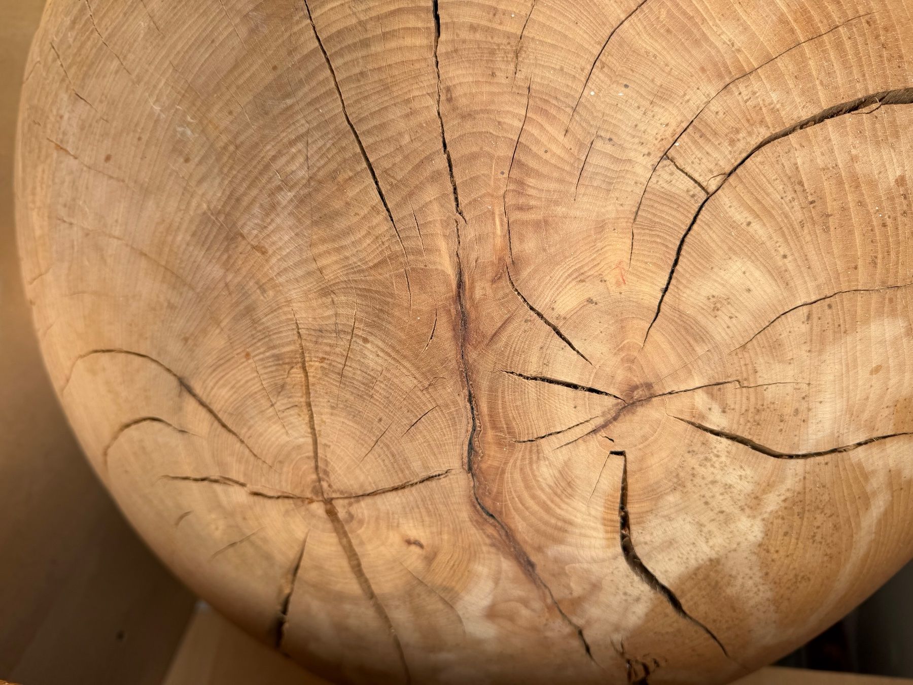Articoli in legno: Holzkugel Buche; 65 cm; roh, – Nuovo (secondo la descrizione) da Wildberg venduto da Melramos04 5