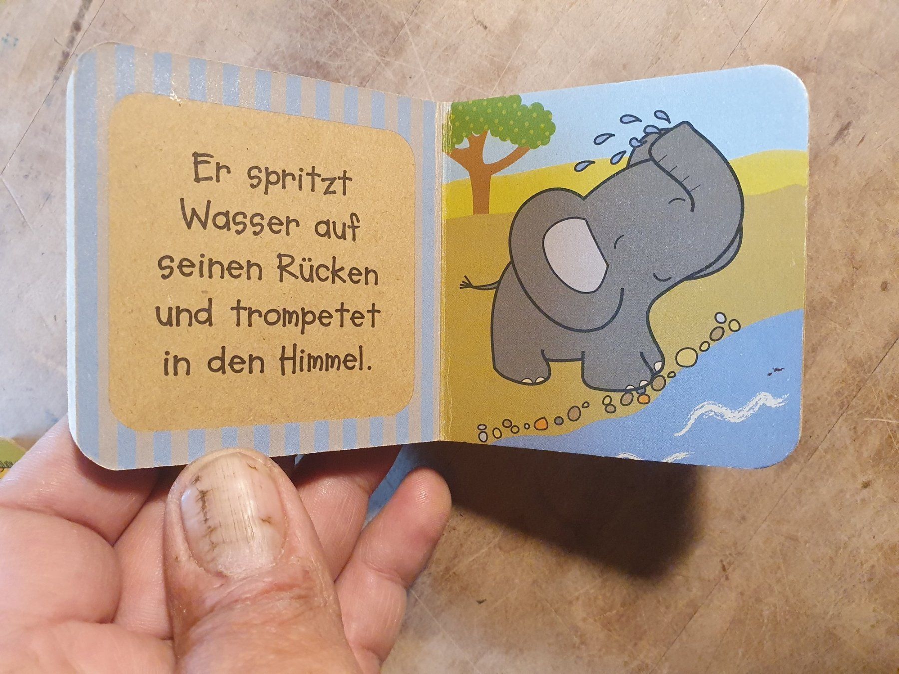 Libri: Konvolut 3 Stk Kinderbücher Tiere – Usato da Zürich venduto da loosebone 3