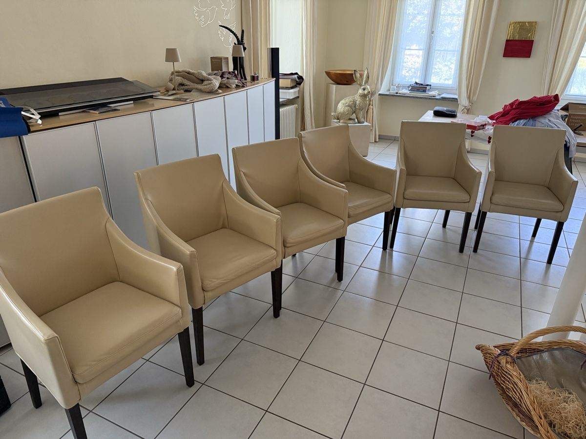 Flexform Sedie: 4 Lederstühle, Beige – Usato da Riken AG venduto da fha_bzh8 4