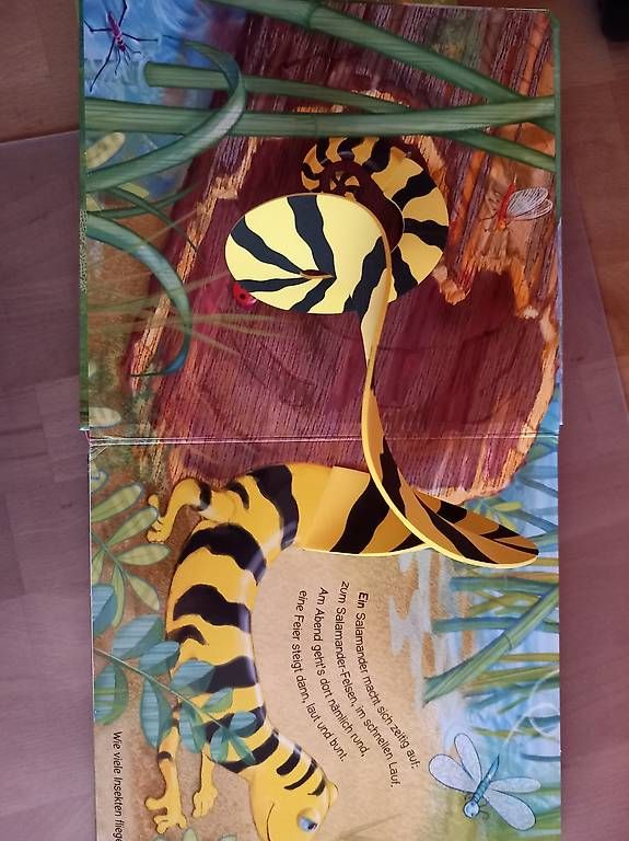 Bücher: Kinderbuch – Gebraucht aus Ebnat-Kappel von 10camper
