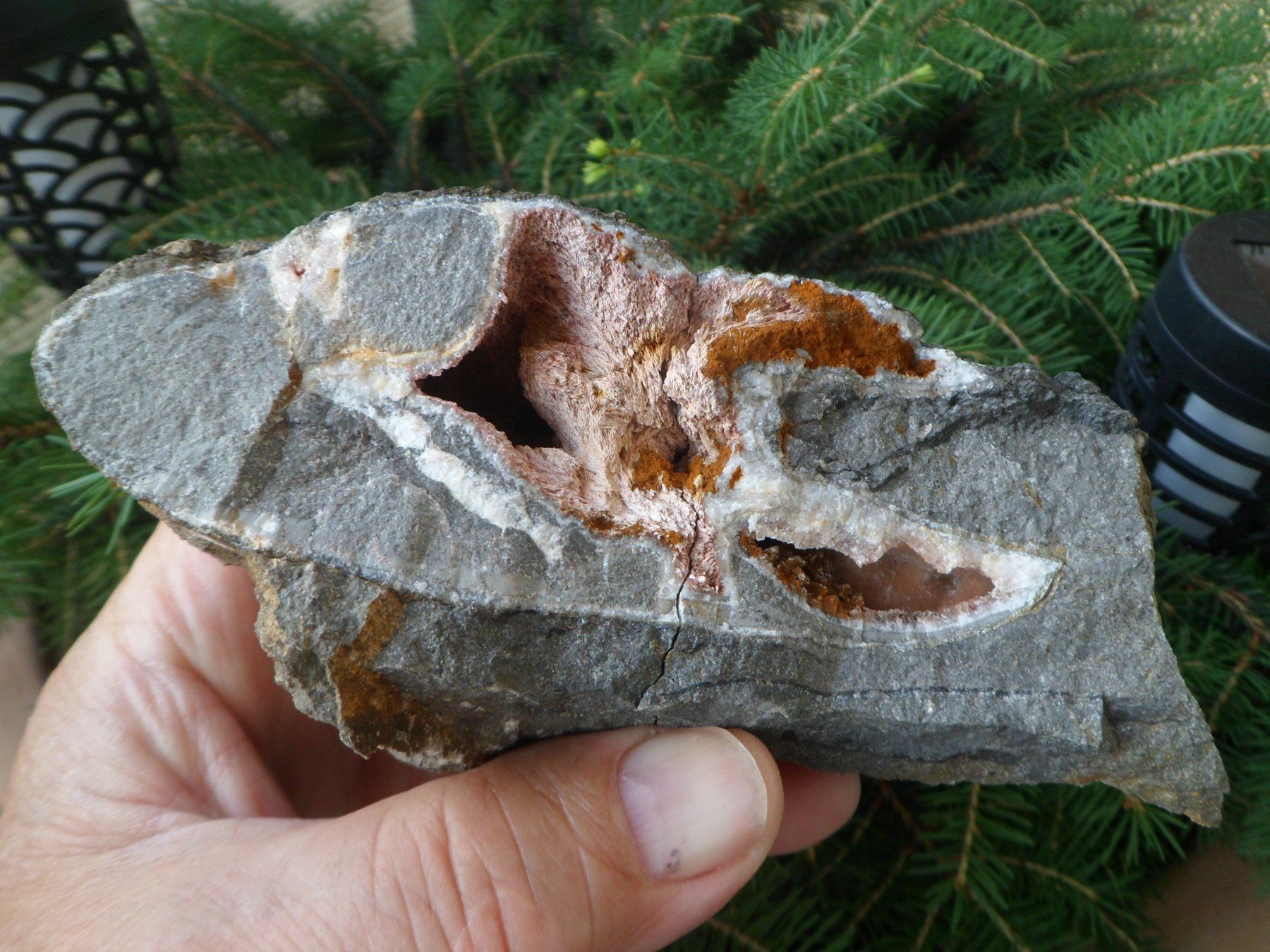 Fossili: Ammonitstück dreiteilig. Schweiz – Usato da Affoltern am Albis venduto da Fossil60 3