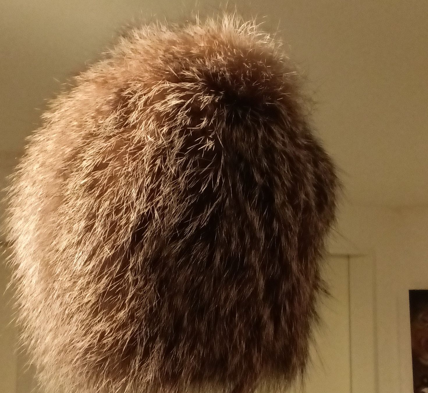 Copricapi, berretti & cappellini: Pelzmütze Silberfuchs elastisch – Nuovo e nell'imballaggio originale da Wettswil venduto da the_jr6l 5