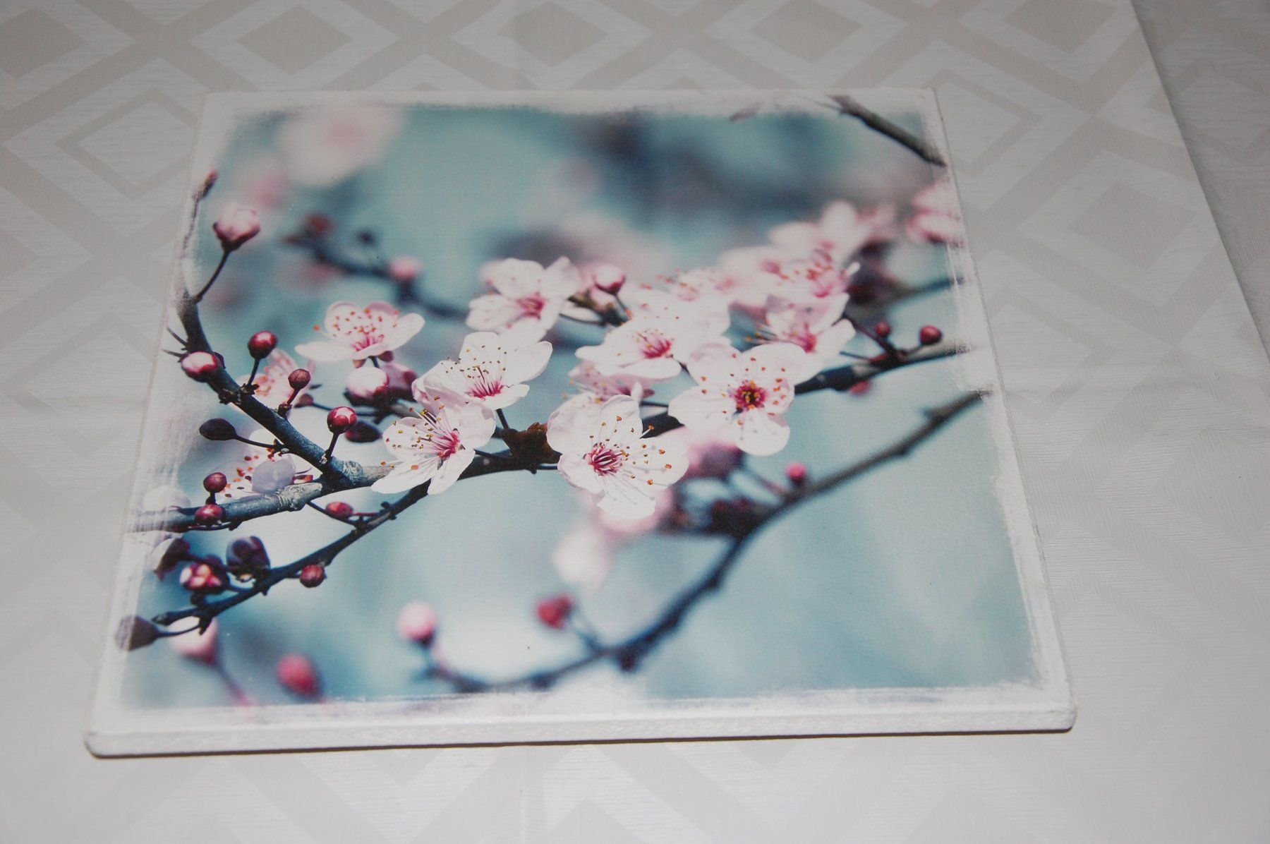 Foto & Immagini: Bild Kirschblüten ca. 30x30cm – Usato da Langenthal venduto da blueskye01 2