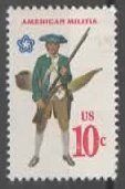 USA AMERICAN MILITIA   (19