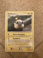 Pokemon - Voltilamm