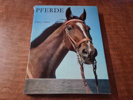 PFERDE