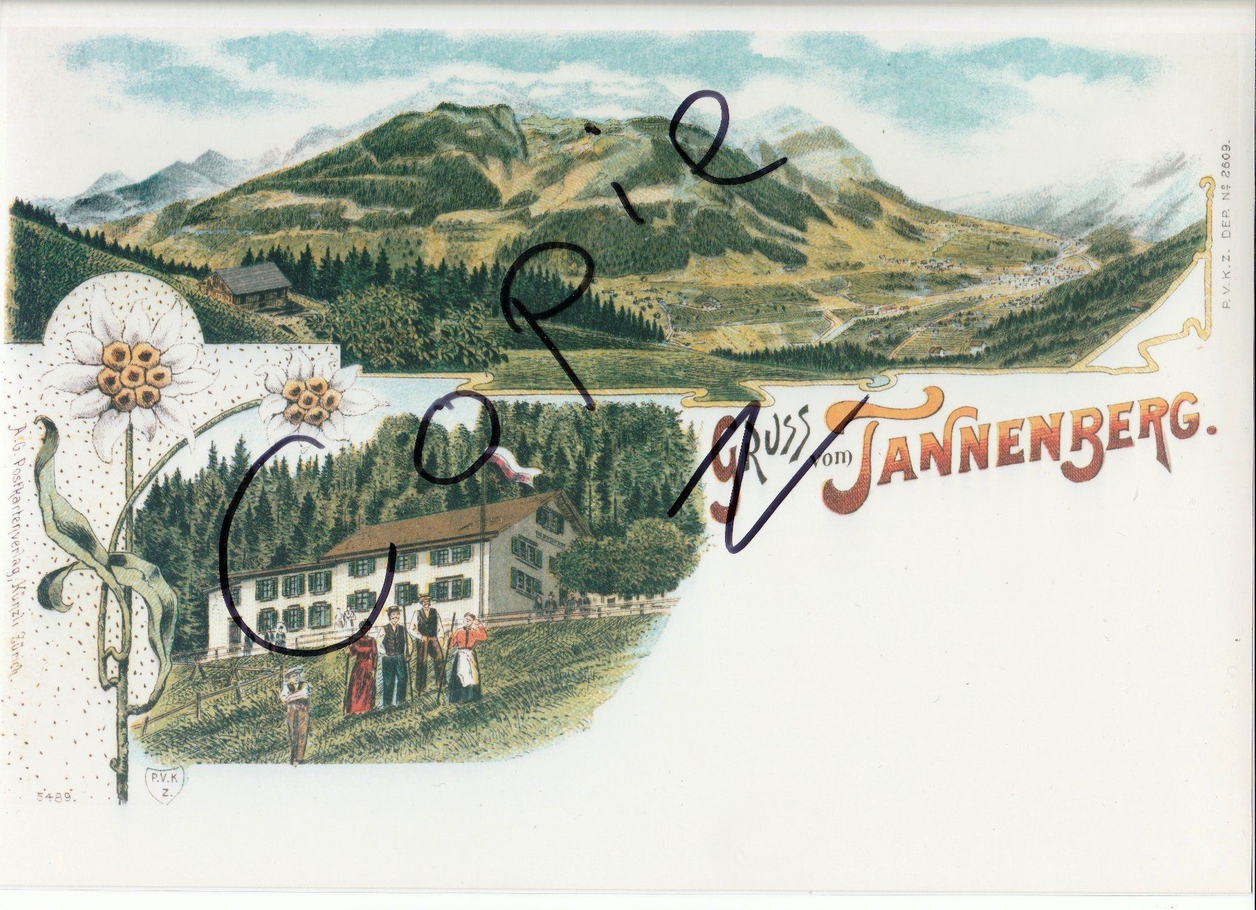 Cartoline postali: Gruss vom Tannenberg - (um 1900) – Usato da Fällanden venduto da Blausegelfliege