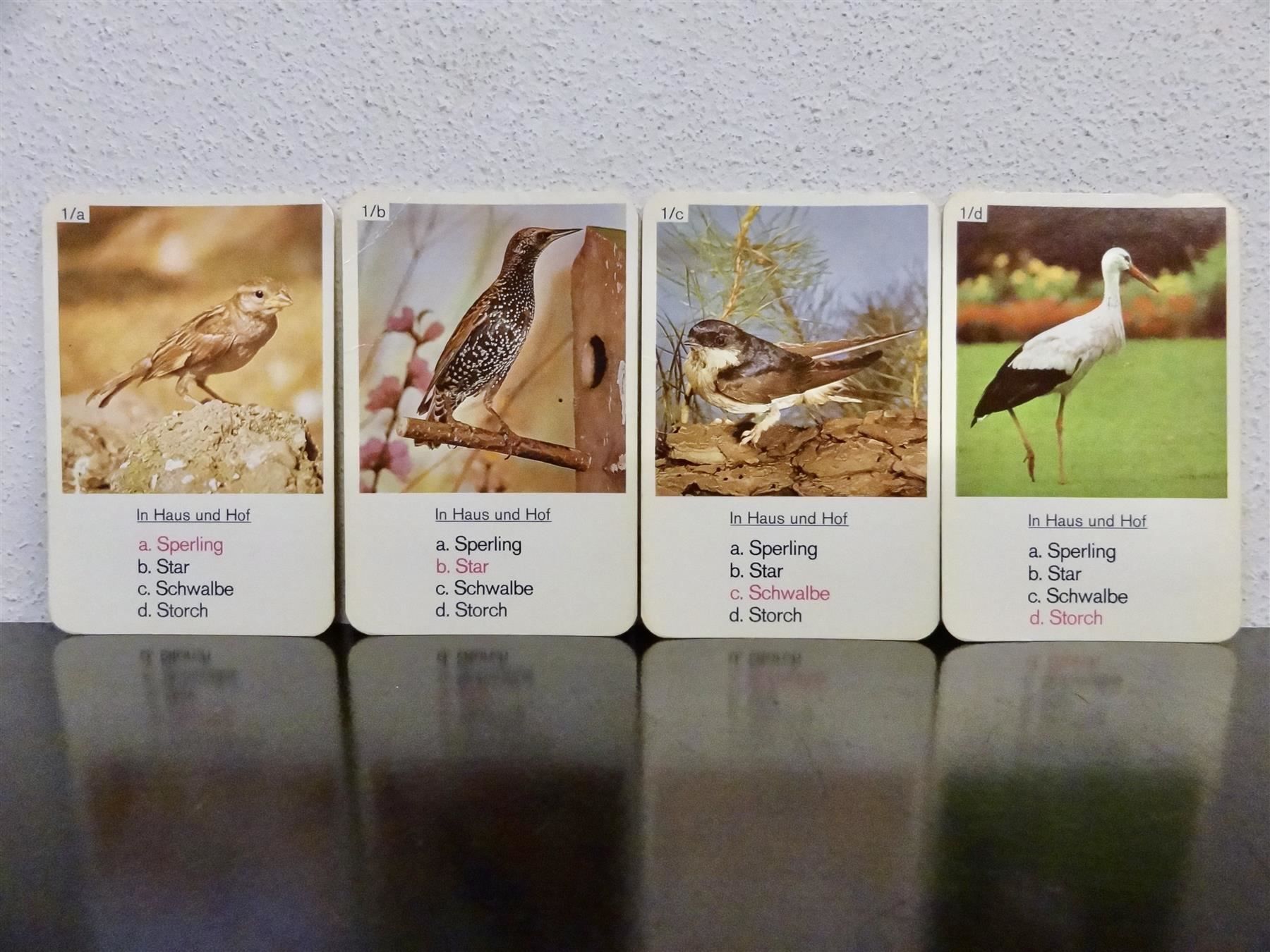 Spiele: altes Quartett TIER-QUARTETT VÖGEL – Gebraucht aus Kerzers von wisaundso 3