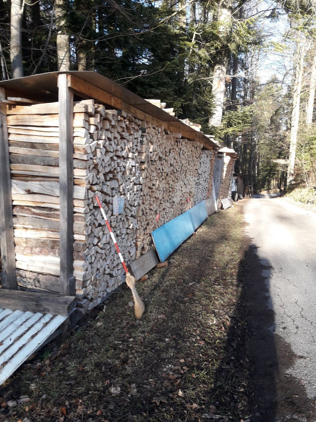 Articoli in legno: Grill. Chemine. Brennhholz – Nuovo (secondo la descrizione) da Homberg b. Thun venduto da fah_9xdv 2