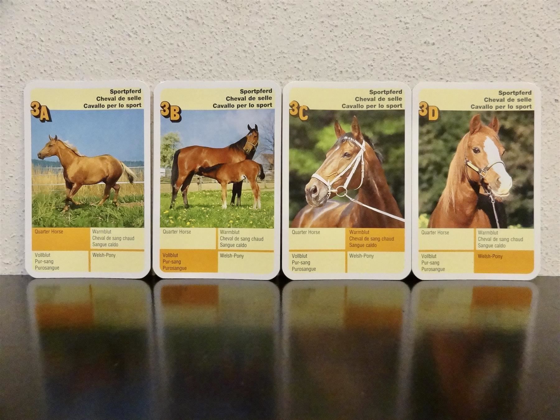 Ravensburger Giochi: Quartett TIER-QUARTETT PFERDE PFERD – Usato da Kerzers venduto da wisaundso 5