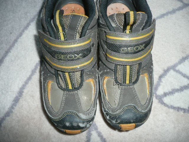 Geox Scarpe per ragazzi: Schuhe Grösse 34 von GEOX – Usato da Zug venduto da falama