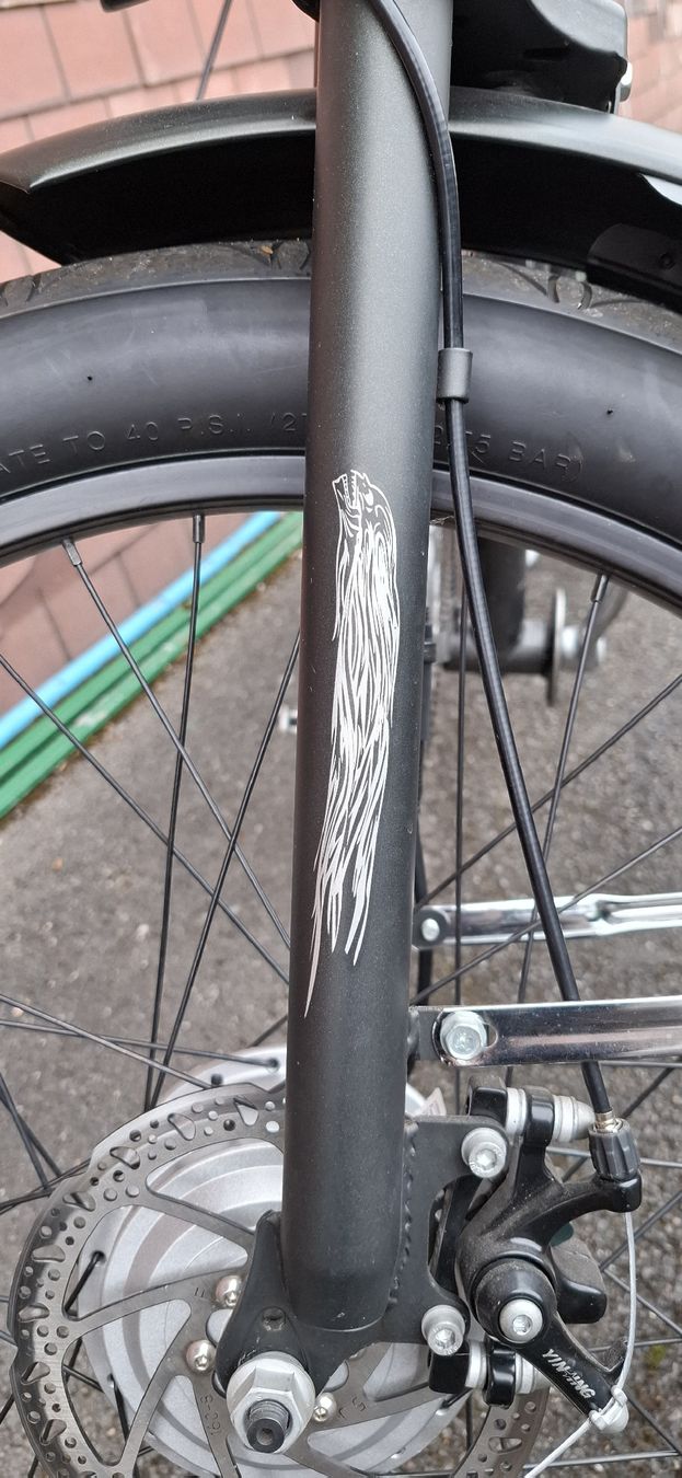 Vélos: Vélo Électrique Chopper unique – D'occasion à St-Saphorin-Morges par J.dut 4