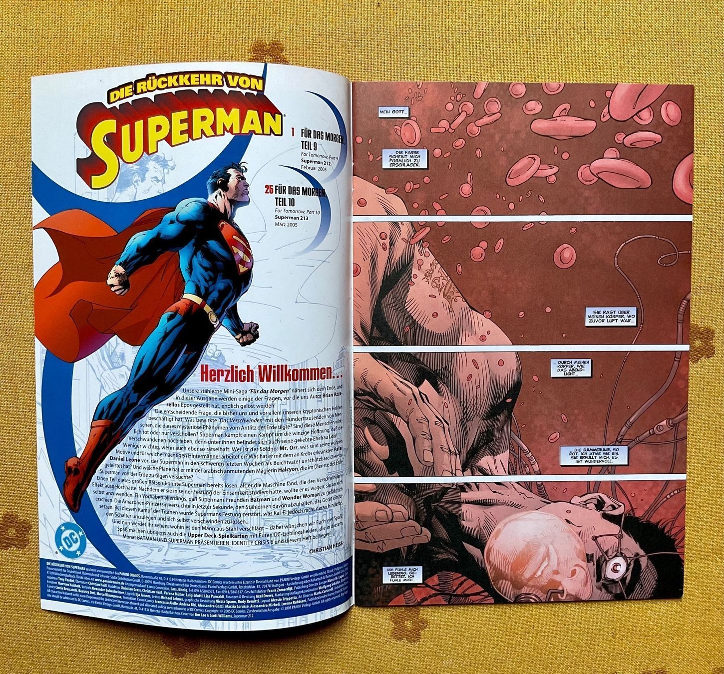 Fumetti: Superman Heft Nr 5 von 2005 – Usato da Endingen venduto da nathan05 1