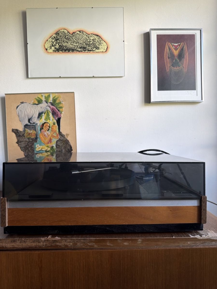 Thorens Giradischi: Thorens TD 125 – Usato da Schlatt ZH venduto da fila345