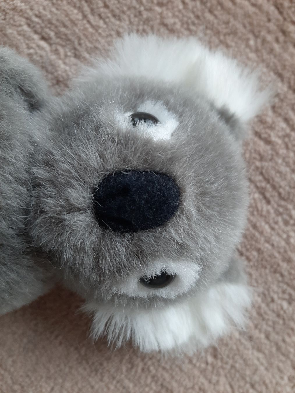 Giocattoli: Peluche Koala (klein) – Usato da Wittenbach venduto da lukelu 2