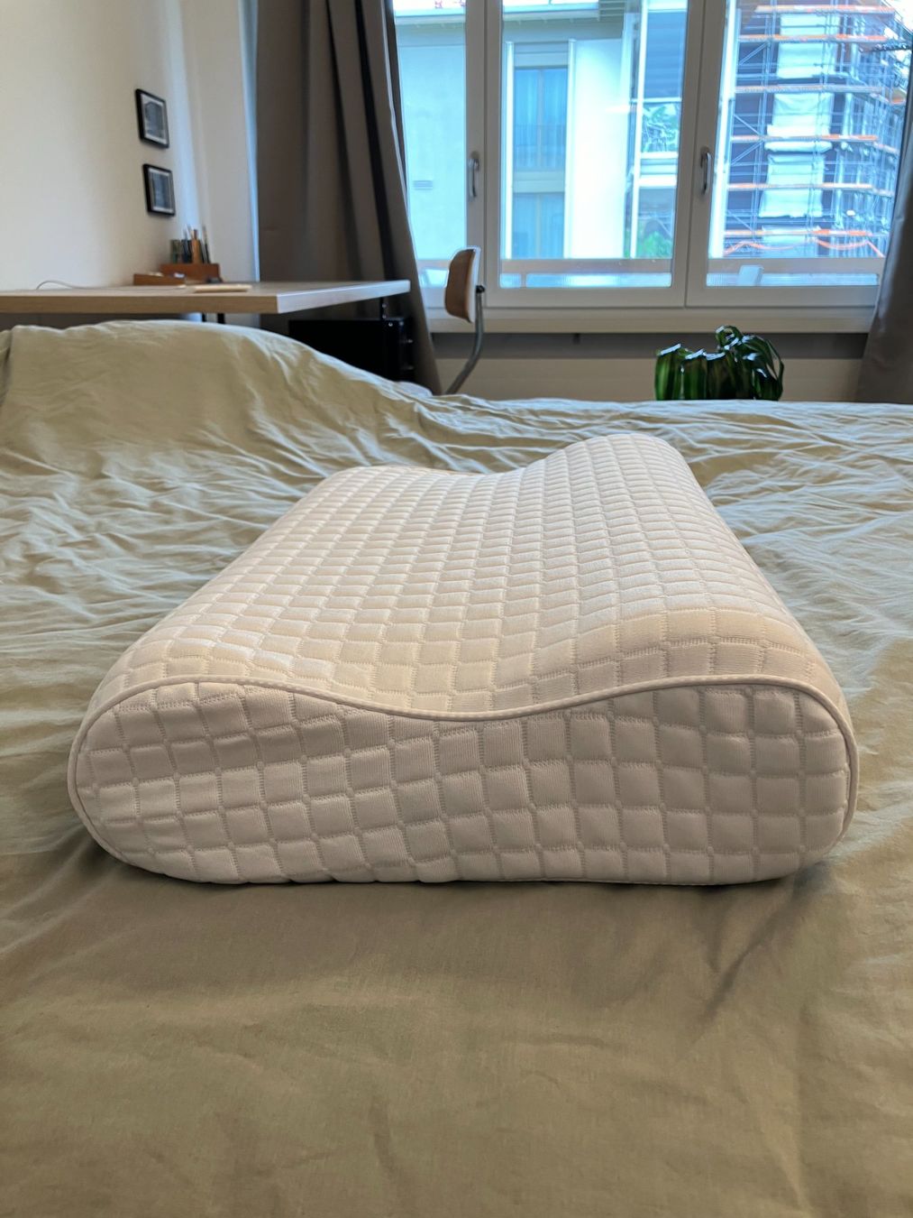 Ikea Cuscini: Kissen Rosenskärm (IKEA) – Nuovo (secondo la descrizione) da Wädenswil venduto da Yannis1990 2