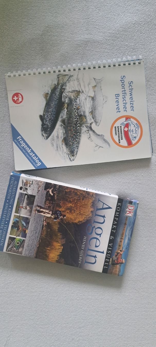 Libri: Angel Bücher – Usato da Bellach venduto da luk_qwl7
